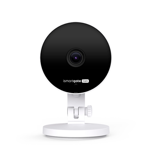 Wireless Indoor IP Camera for garage